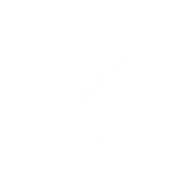 Gitarre zerbricht