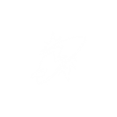 Surfboard zerbricht